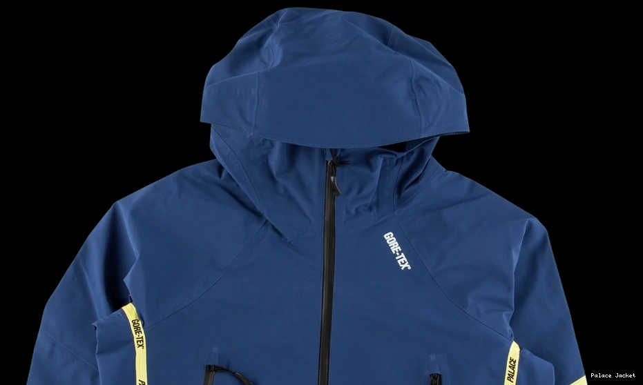 Cheap Palace Palex Jacket Gore-Tex 0711